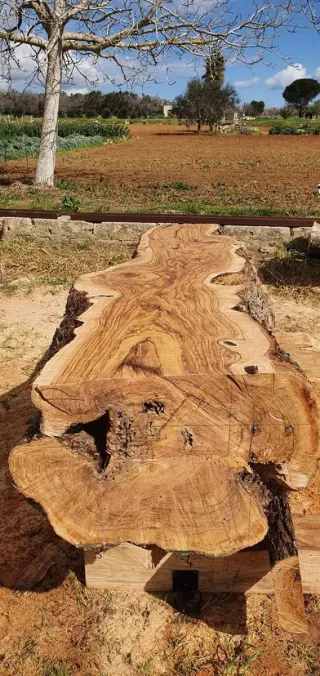 Servizio di segheria mobile