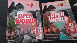 OpenWorld Preliminary student's book without answ