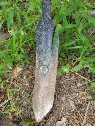 Mini tractor Yanmar F16D con fresa