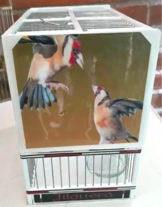 Jaula C2 personalizada con diseño elegante concurs