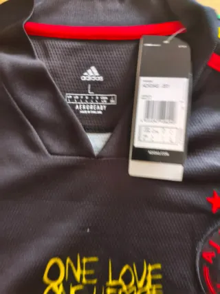 Camiseta Ajax Amsterdam Edición Especial