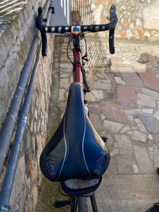 Bici da corsa Moser Karbon