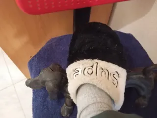 Figura perro salchicha antiguo hierro fundido