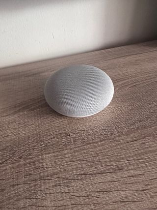 Google Nest Mini Gris