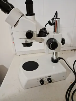 Kit Detección Triquina