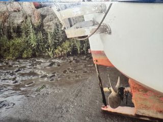 Barco a motor y vela marinero con camarote