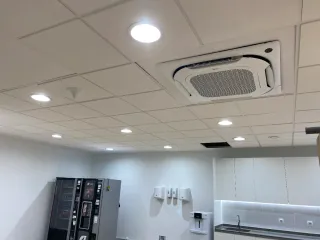 Servicios de Pladurista Profesional