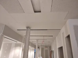 Servicios de Pladurista Profesional