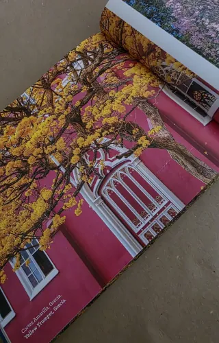 Libro Árboles Mágicos Magical Trees Bilingüe