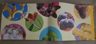 Libro Árboles Mágicos Magical Trees Bilingüe