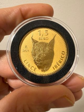 Moneda Oro España Felipe VI 1 Onza 999,9