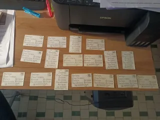 Cromos Panini El Rey León