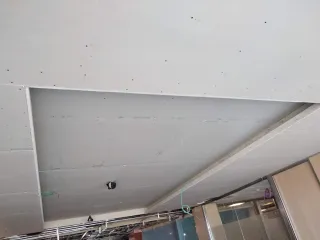 Servicios de Pladurista Profesional