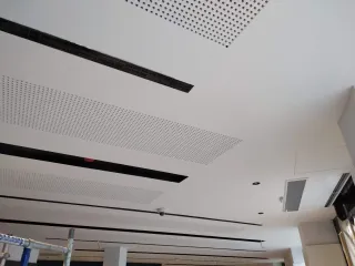 Servicios de Pladurista Profesional