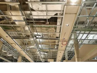 Servicios de Pladurista Profesional