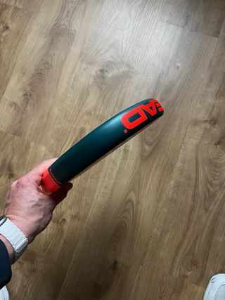 Pala Head Radical Motion 2026