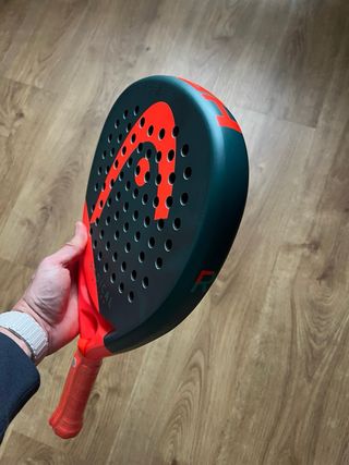 Pala Head Radical Motion 2026