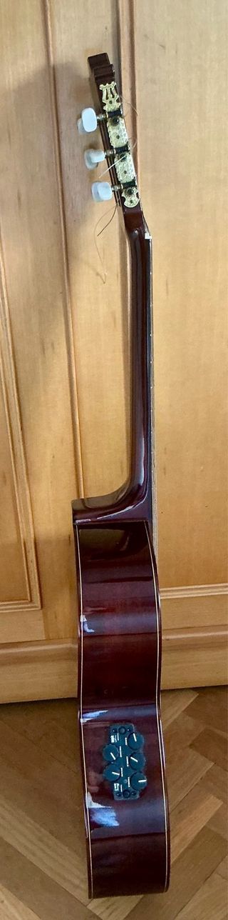 Guitarra Ibanez G200ECE-NT-2Y-02 Cut-away Electr.