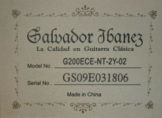 Guitarra Ibanez G200ECE-NT-2Y-02 Cut-away Electr.