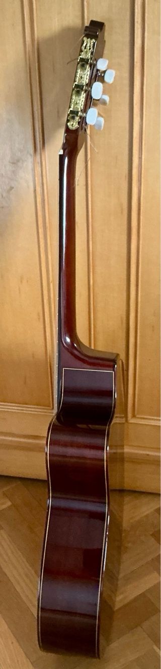 Guitarra Ibanez G200ECE-NT-2Y-02 Cut-away Electr.