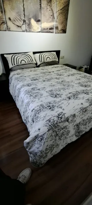 Cama canapé tapizada