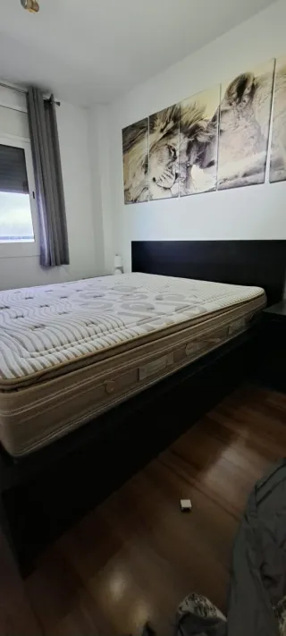 Cama canapé tapizada