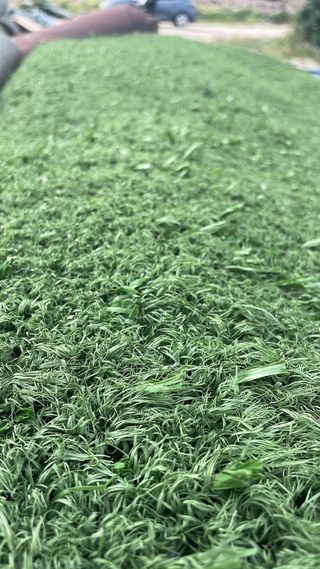 Césped artificial verde