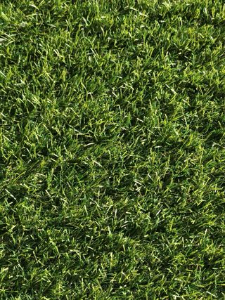 Oferta Cesped Artificial 20 mm calidad alta