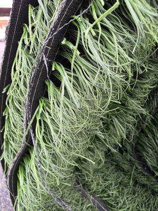 Césped artificial para exteriores