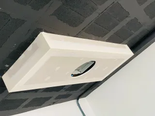 Pladurista profesional