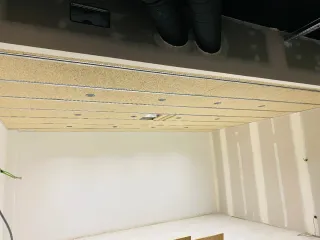 Pladurista profesional