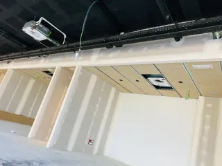 Pladurista profesional