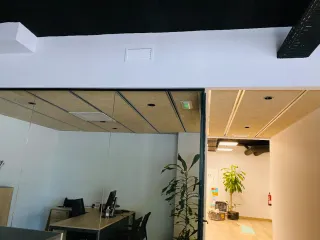 Pladurista profesional