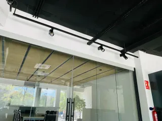 Pladurista profesional