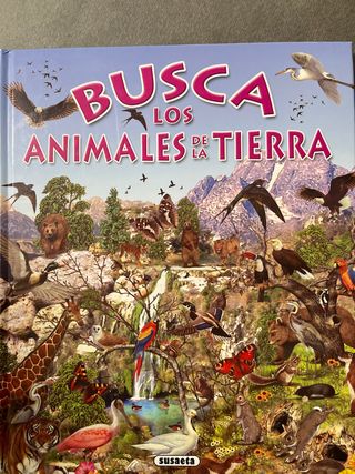 Busca los animales de la tierra (Spanish Edition)