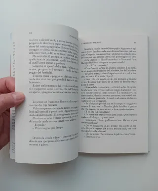 L'angelo di Avrigue di Francesco Biamonti