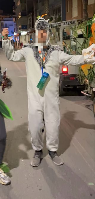 Disfraz Lemur Rey Julien Madagascar Talla Única