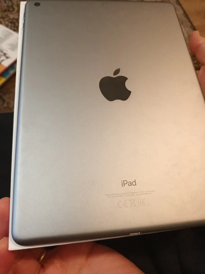 Apple iPad 6ª Gen Plata
