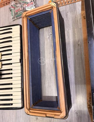 Fisarmonica Borsini Vintage