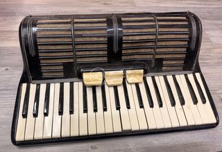 Fisarmonica Borsini Vintage