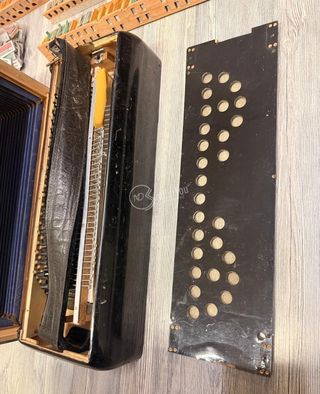 Fisarmonica Borsini Vintage