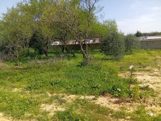 Parcela de 4472 mt dos escrituras