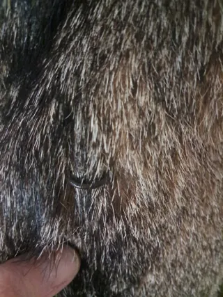 Abrigo de piel marrón y gris