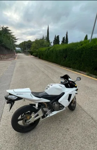 Honda CBR 600RR