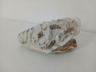 Svuotatasche Conchiglia Vintage in Porcellana Capo