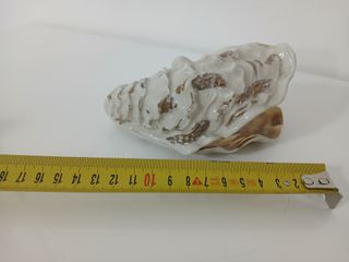 Svuotatasche Conchiglia Vintage in Porcellana Capo