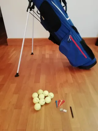 Bolsa y palos de golf