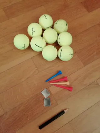 Bolsa y palos de golf