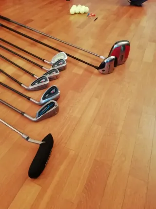 Bolsa y palos de golf