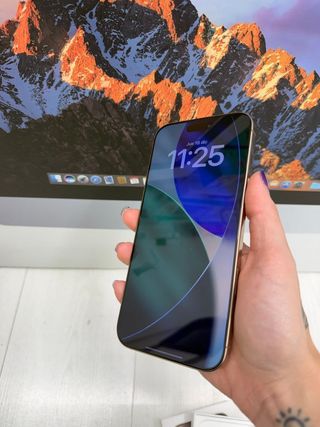 IPhone 16 Pro Max 256GB